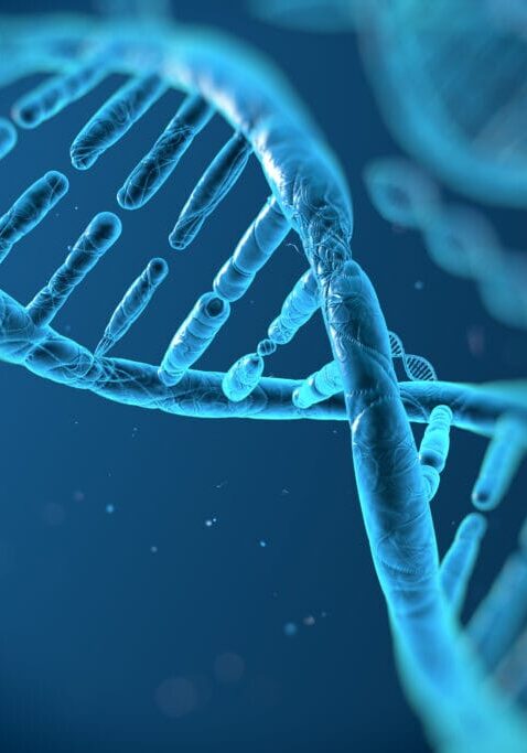 DNA molecules